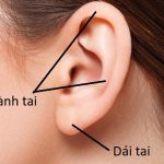 nâng mũi sụn vành tai